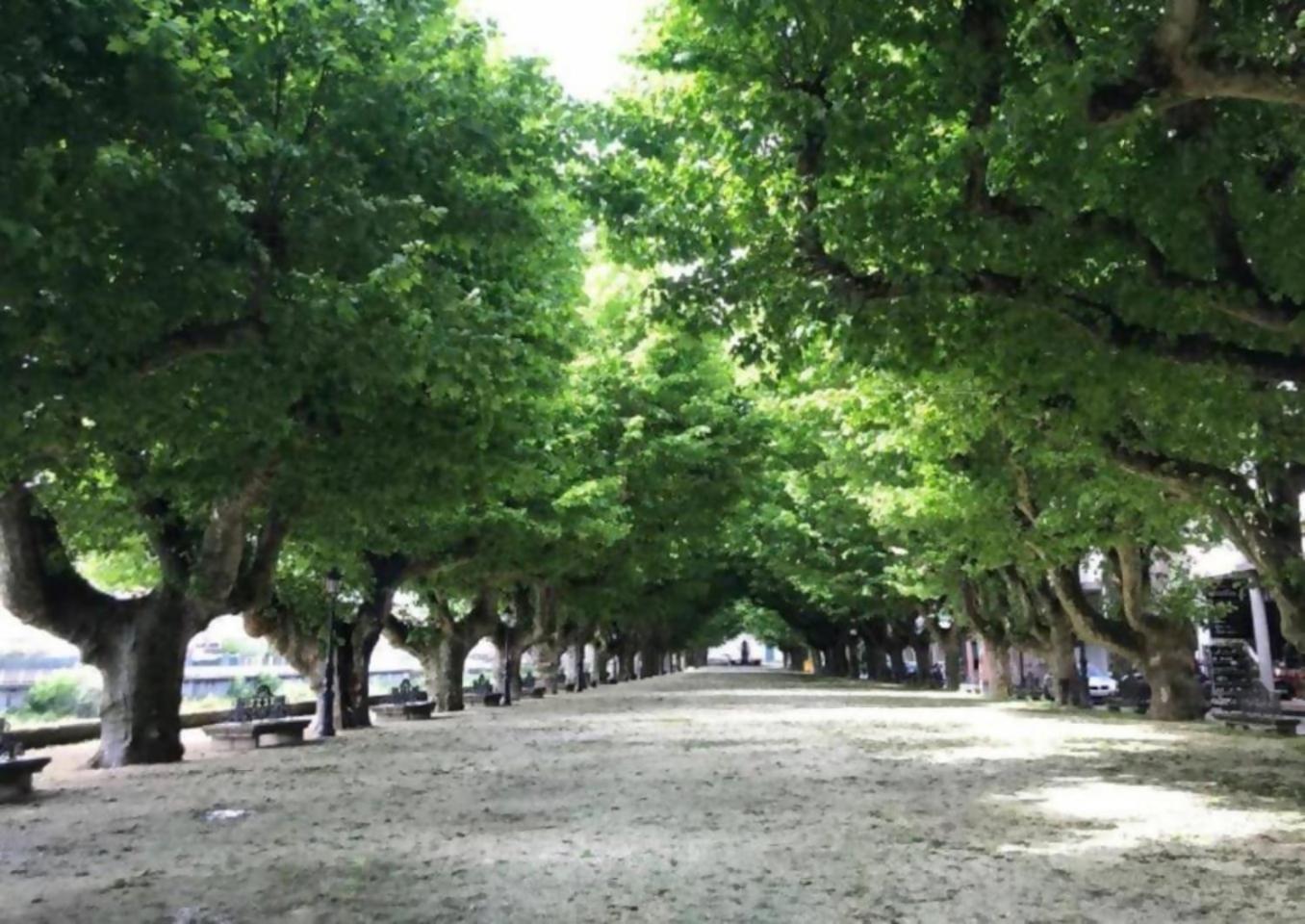 Apartamento Ryr Padrón المظهر الخارجي الصورة
